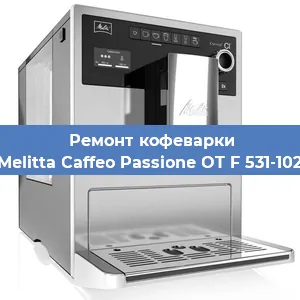 Чистка кофемашины Melitta Caffeo Passione OT F 531-102 от накипи в Нижнем Новгороде